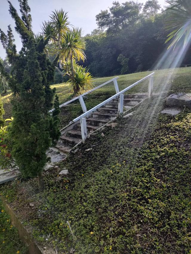 ขายที่ดินพร้อมโฉนด 1-1-32 ตร.ว. อ.ปากช่อง จ.นครราชสีมา ทำเลดี บรรยากาศร่มรื่น ด้านหลังติดภูเขา 7