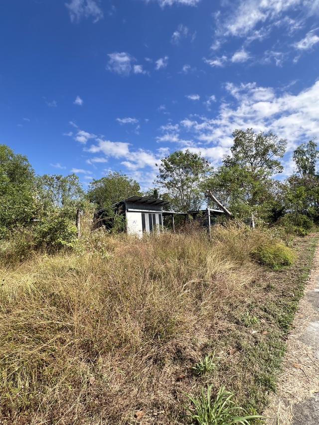 ที่ดินสวยแปลงสวยเหมาะสำหรับปลูกบ้าน 2