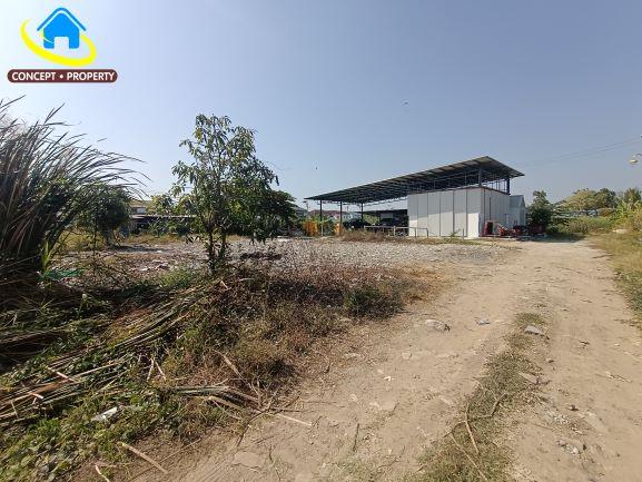 ให้เช่าที่ดิน 140 ตารางวา ซอยลาดกระบัง14/1 ซอยราชา 11 ลาดกระบัง 4