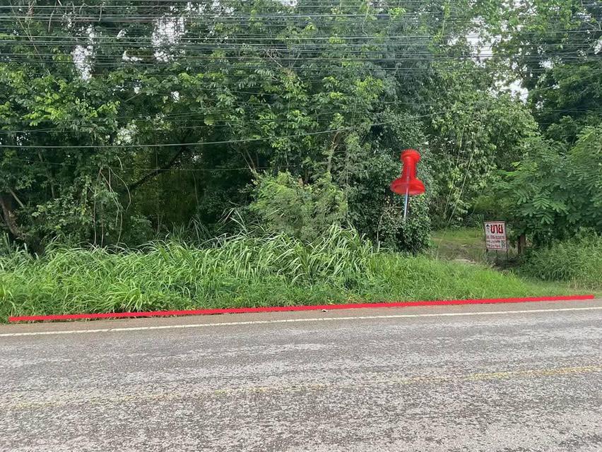 ที่ดินเปล่า แปลงใหญ่ ติดถนน ทำเลทอง ใกล้บิ๊กซี ซูเปอร์เซ็นเตอร์ แม็กซ์โฮม จังหวัดขอนแก่น 1