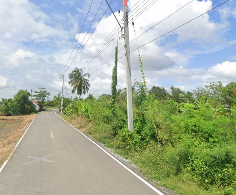 ขายที่ดินบางขวัญ 3 ไร่ ติดคลองติดถนนลาดยาง ใกล้ถนนวงแหวน365-8กม. เมืองฉะเชิงเทรา 2