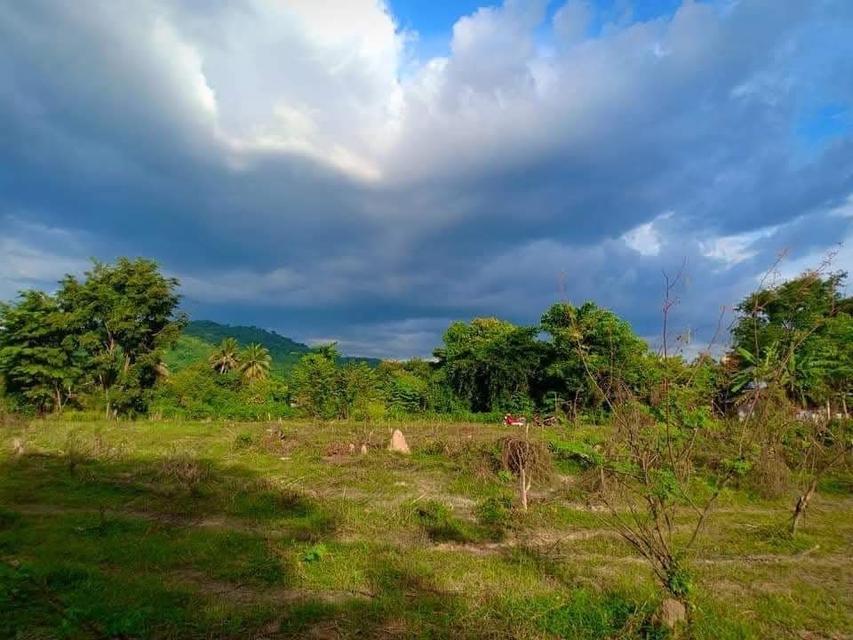 ที่ดิน อ.บ้านนา จ.นครนายก โฉนด (ครุฑแดง) 9-2-51 ไร่ 1