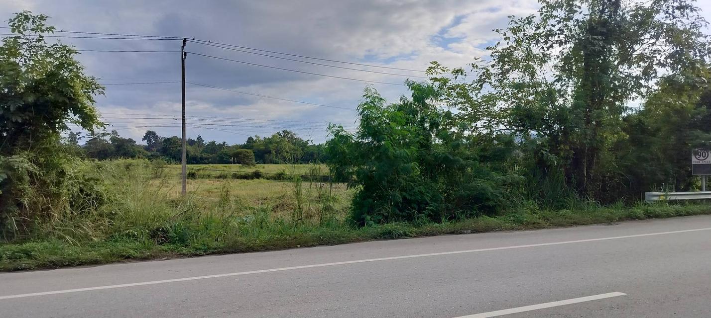 ที่ดิน 4