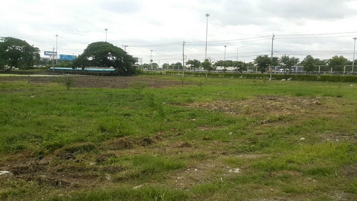 ขายที่พร้อมลงโครงการหรูแนวราบสบายไม่ต้องรอใดๆ 16 ไร่นิดๆตามผังเลย ราคามาตรฐาน เส้นรามอินทราเสรีไทย เลียบวงแหวนกาญจนาภิเษก เส้นนี้สวยมากติดถนน 200 เมตร 5