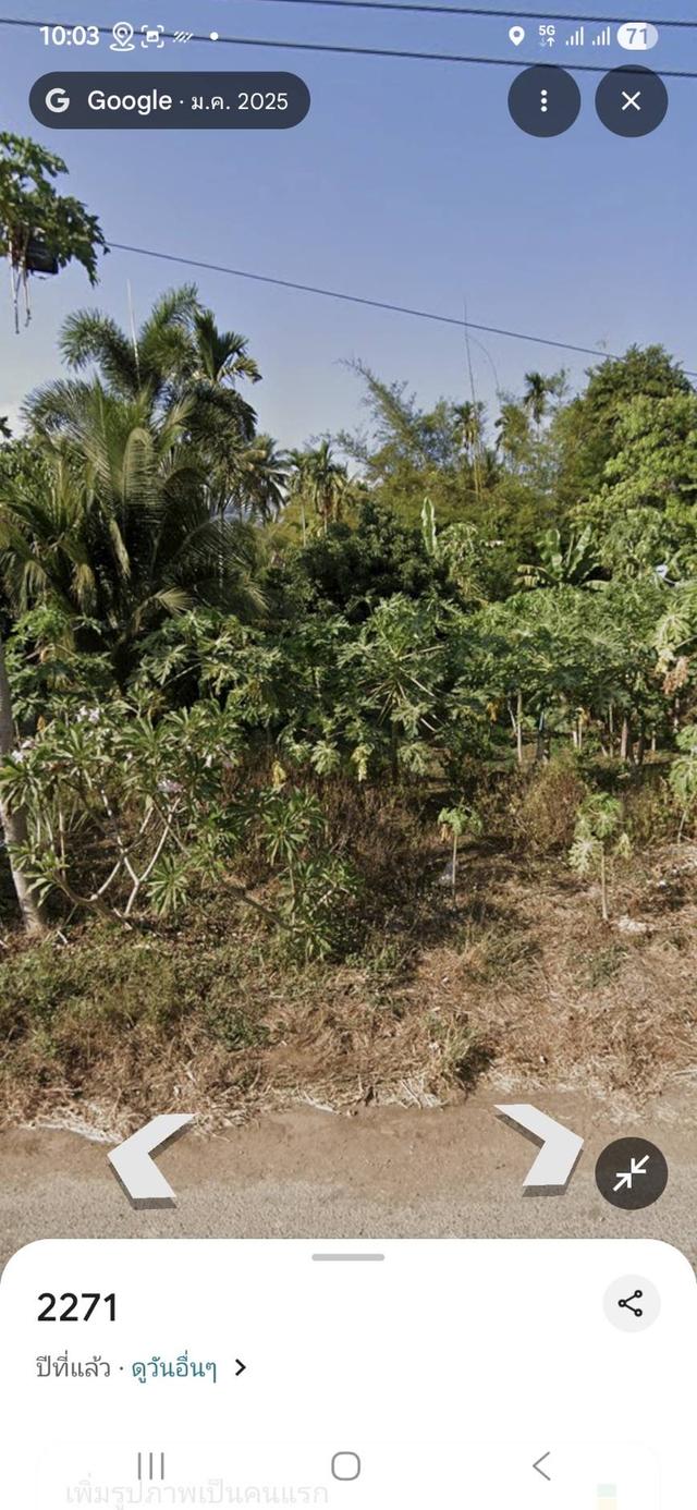 ที่ดิน ที่ดินเปล่า ทำเลทอง ที่ดินติดถนนเส้นหลัก 3