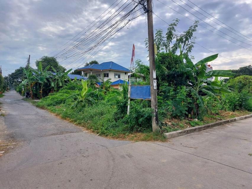 ขายที่ดิน เนื้อที่ 91 ตร.ว. ซอยอ่อนนุช 66 แยก 19-12-4 ใกล้สวนสาธารณะบึงหนองบอน 5