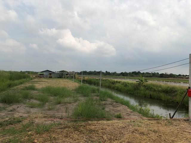 ขายอสังหาริมทรัพย์บ้านที่ดิน ที่ดิน ลาดหลุมแก้ว บ่อเงินปุทม ใ5ไร่ อำเภอลาดหลุมแก้ว ปทุมธานี ลาดหลุมแก้วไร่ละ 1ลบ. โทร 08