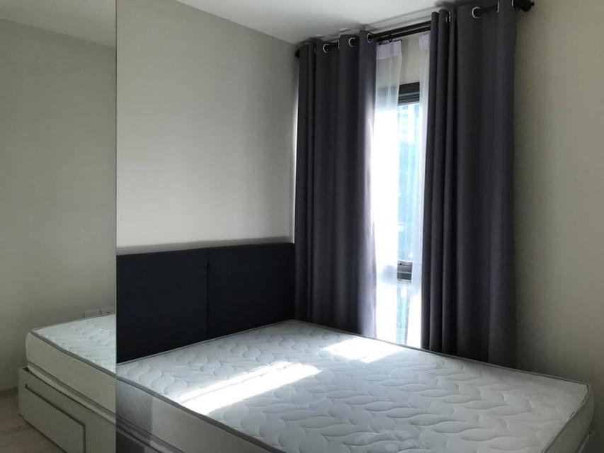 Room For Sale/Rent Centric-Huaykwang Station  4