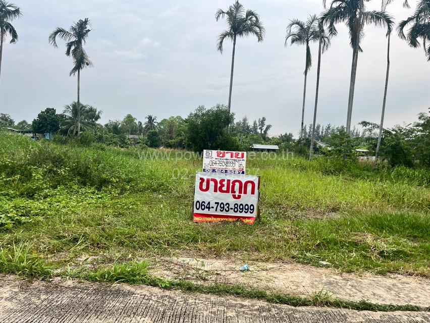ที่ดินเปล่าถมแล้ว ซอยไอยรา ใกล้สํานักงานเทศบาลเมืองสนั่นรักษ์ ถนนรังสิต – นครนายก ต.หนองสามวัง อ.หนองเสือ จ.ปทุมธานี 4