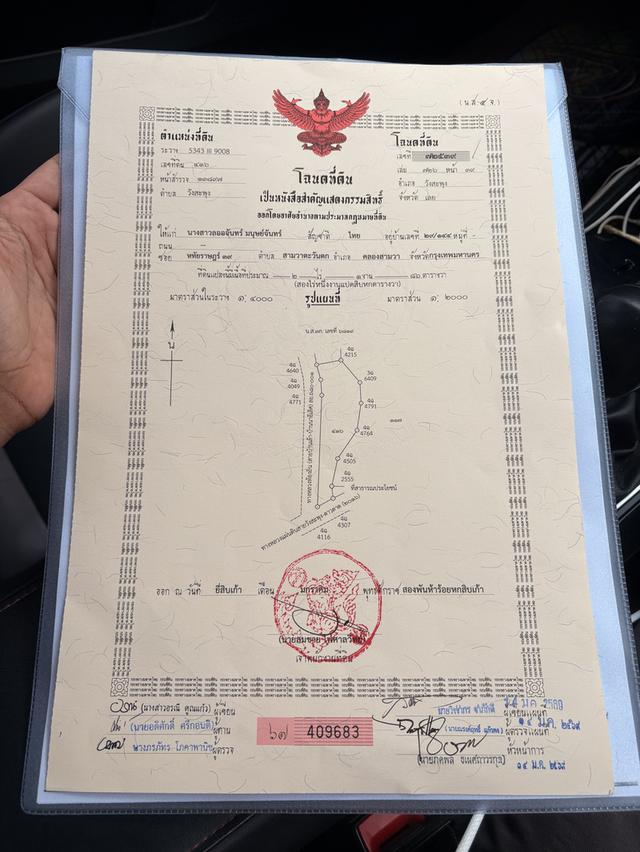 ขายที่ดิน2ไร่ จังหวัดเลย วังสะพุง วัดป่าผาเจริญ 3