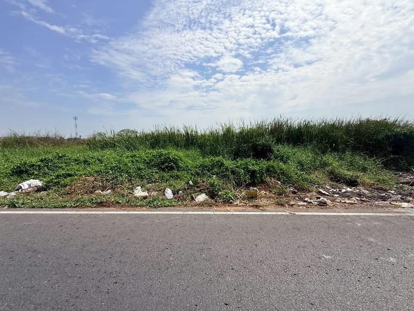 ขายด่วนที่ดิน 286 ตารางวา ติดถนนเลียบมอเตอร์เวย์ ต.คลองสี่ อ.คลองหลวง จ.ปทุมธานี 5