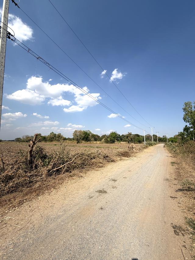 📍ขายที่นา 4ไร่ 3งาน 3.1ตารางวา หน้ากว้าง 40 เมตร น้ำไม่เคยท่วม มีไฟฟ้า น้ำปะปา ติดถนน 3