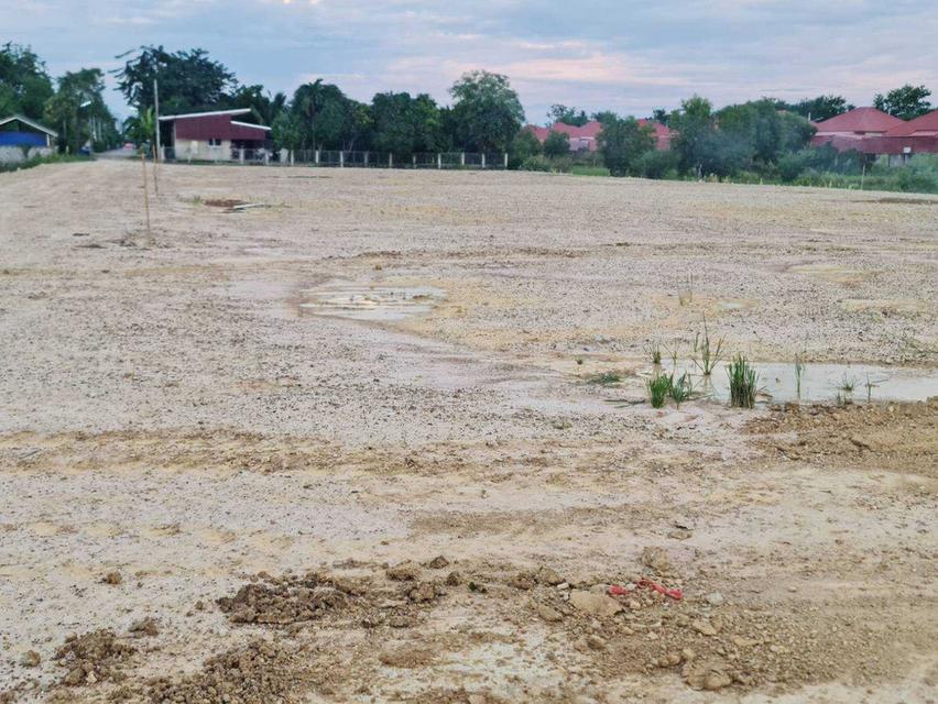 ขายที่ดินสวย ตำบลบ้านหม้อ จังหวัดเพชรบุรี ขนาด 130 ตร.ว./แปลง ติดถนน (N.1326) 1