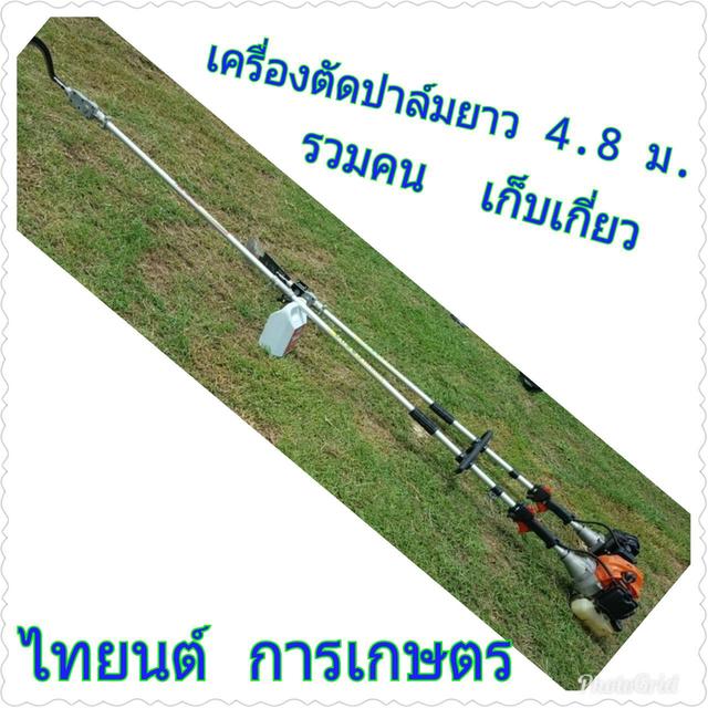 เครื่องตัดปาล์มน้ำมัน
