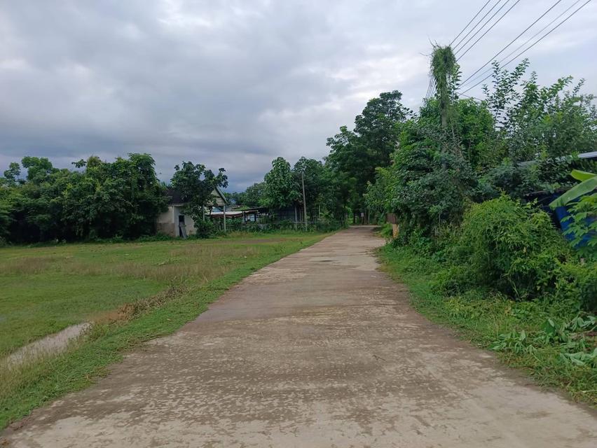 ขายที่ดินเมืองเก่า 4 ไร่ ติดถนนคอนกรีตซอยบ้านโนนบาก ใกล้แยกสามทหาร-2กม. อ.กบินทร์บุรี ปราจีนบุรี 4