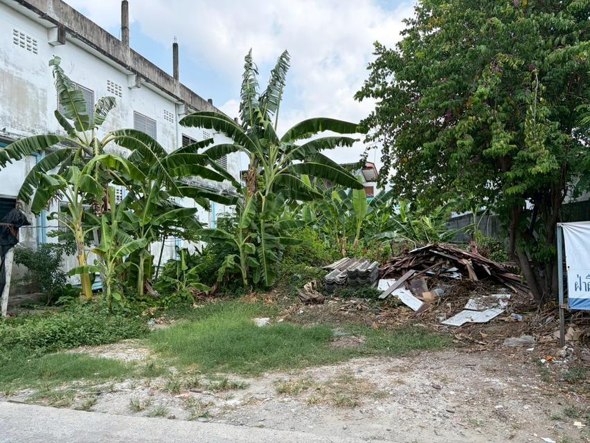 **ขายที่ดิน สมุทรปราการ ซอยบุญศิริ 15 (หน้าหมู่บ้าน)** ✨ ทำเลดี ถมแล้ว พร้อมสร้าง/ลงทุนได้ทันที 💰 **ราคาเพียง 40,000 บาท/ตร.วา**  64 ตารางวา 4