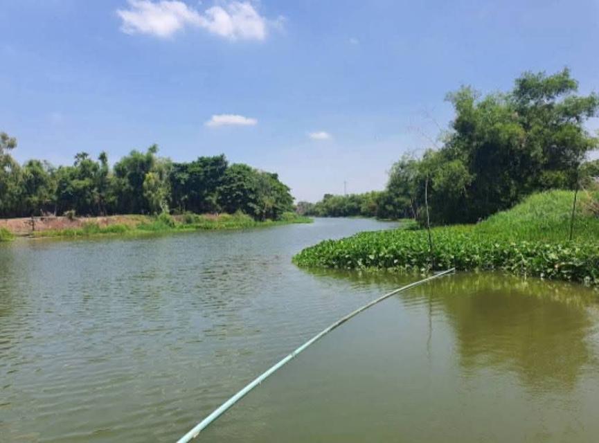 ขาย7แสน ที่ดินติดแม่น้ำท่าจีน สุพรรณบุรี