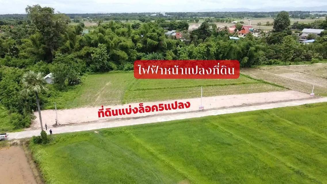 ขายที่ดินเปล่าแบ่งแปลงราคาถูกถมดินแล้ว 4