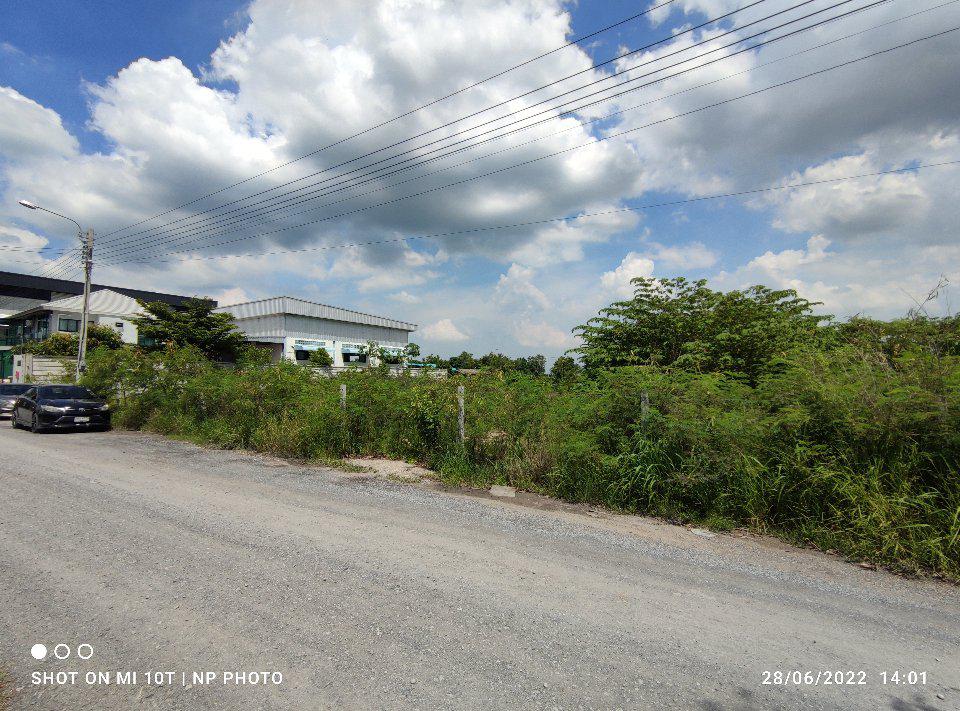 ขายที่ดิน 1 ไร่ รูปที่ 1