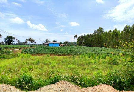 ขาย ที่ดิน ชลบุรีทำเลดี ใกล้นิคมอุตสาหกรรม คลังสินค้า ลานกองตู้คอนเทนเนอร์มากมายที่ดินเปล่าศรีราชา ซอยหนองขาม หุบบอน 3 ไ