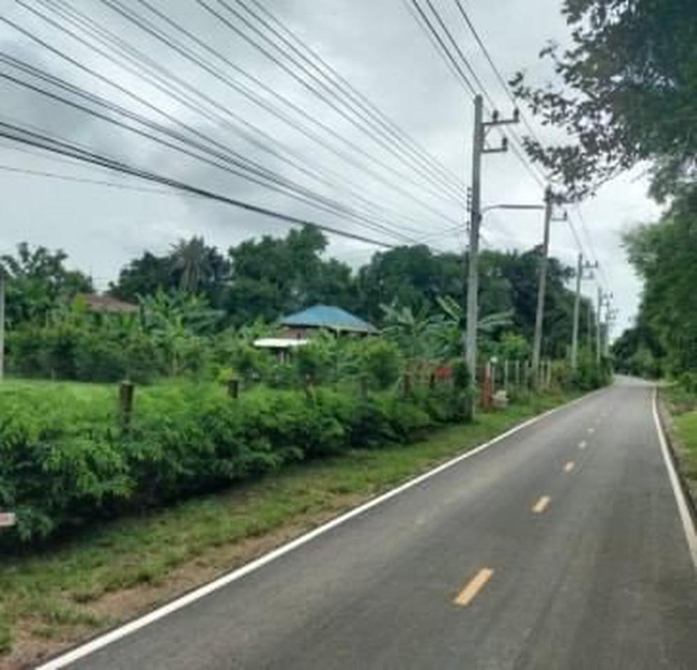 ขายด่วน : บ้านพร้อมสวน ไม้ผลและไม้ป่า ติดถนนดำ สรรพยา ชัยนาท (เจ้าของขายเอง) รูปที่ 2