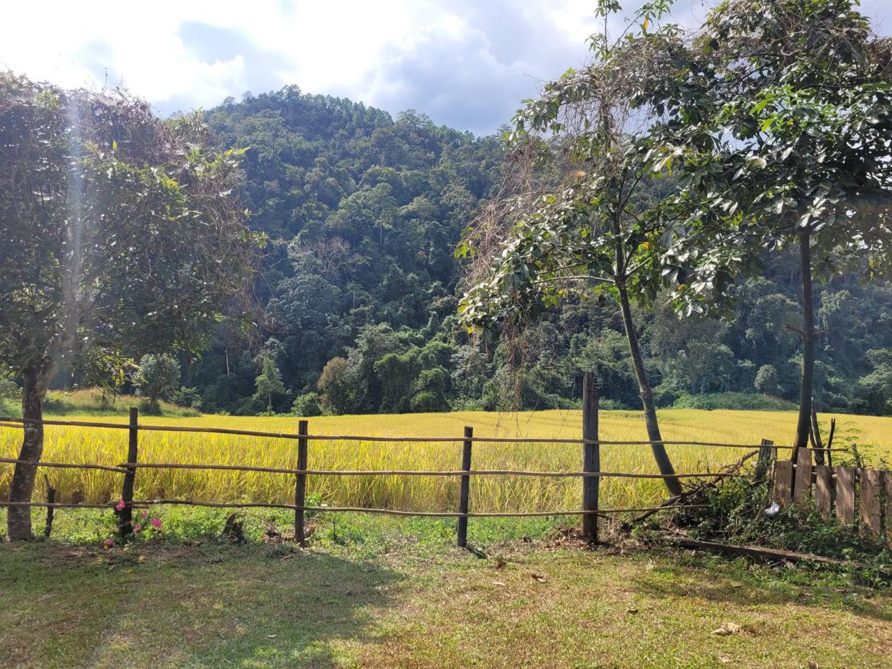 Real Natural on the top of big Moutain View very peacefully who like to love home stay nature real forest Chiang Mai