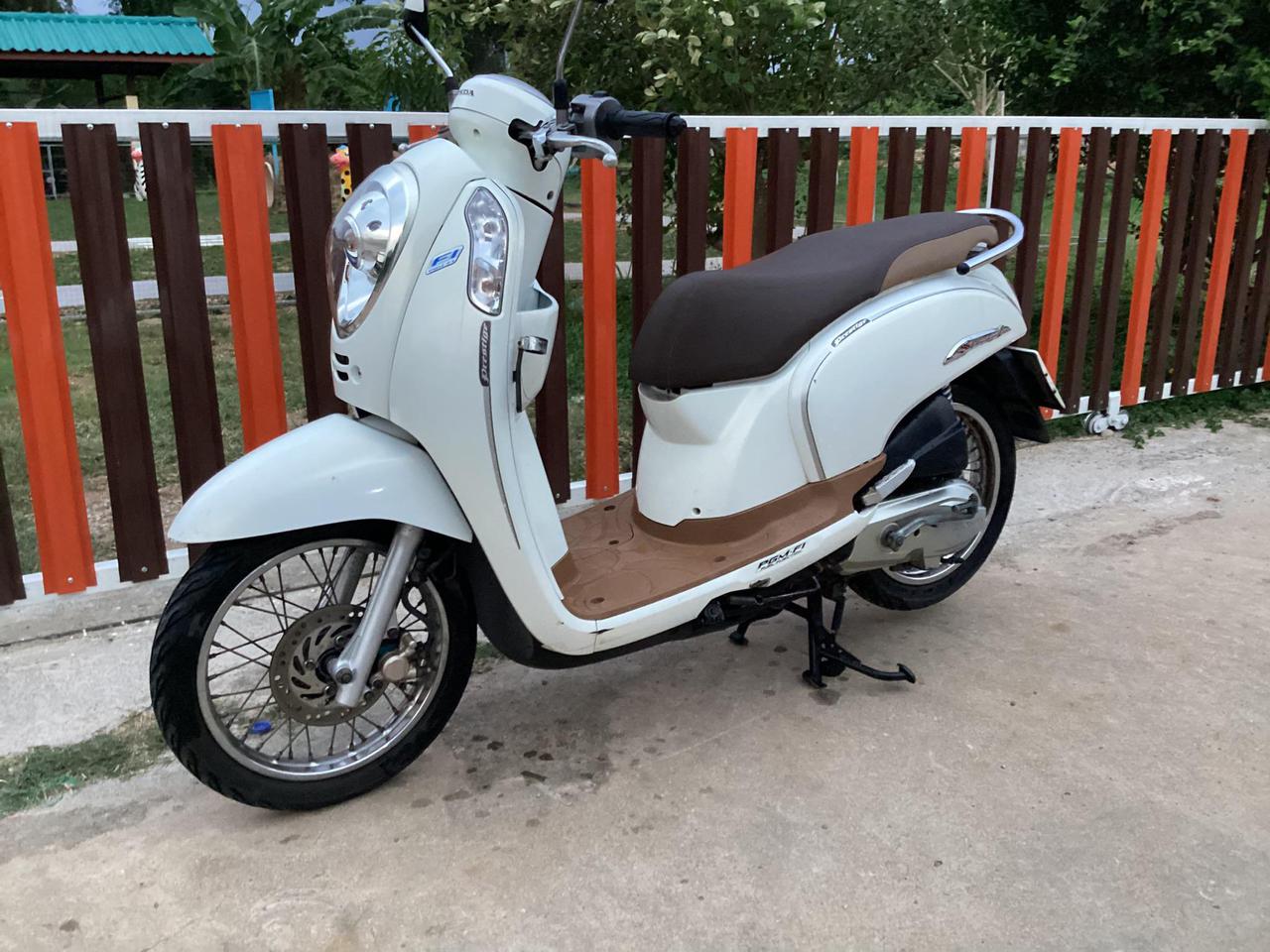 scoopy i รูปที่ 3