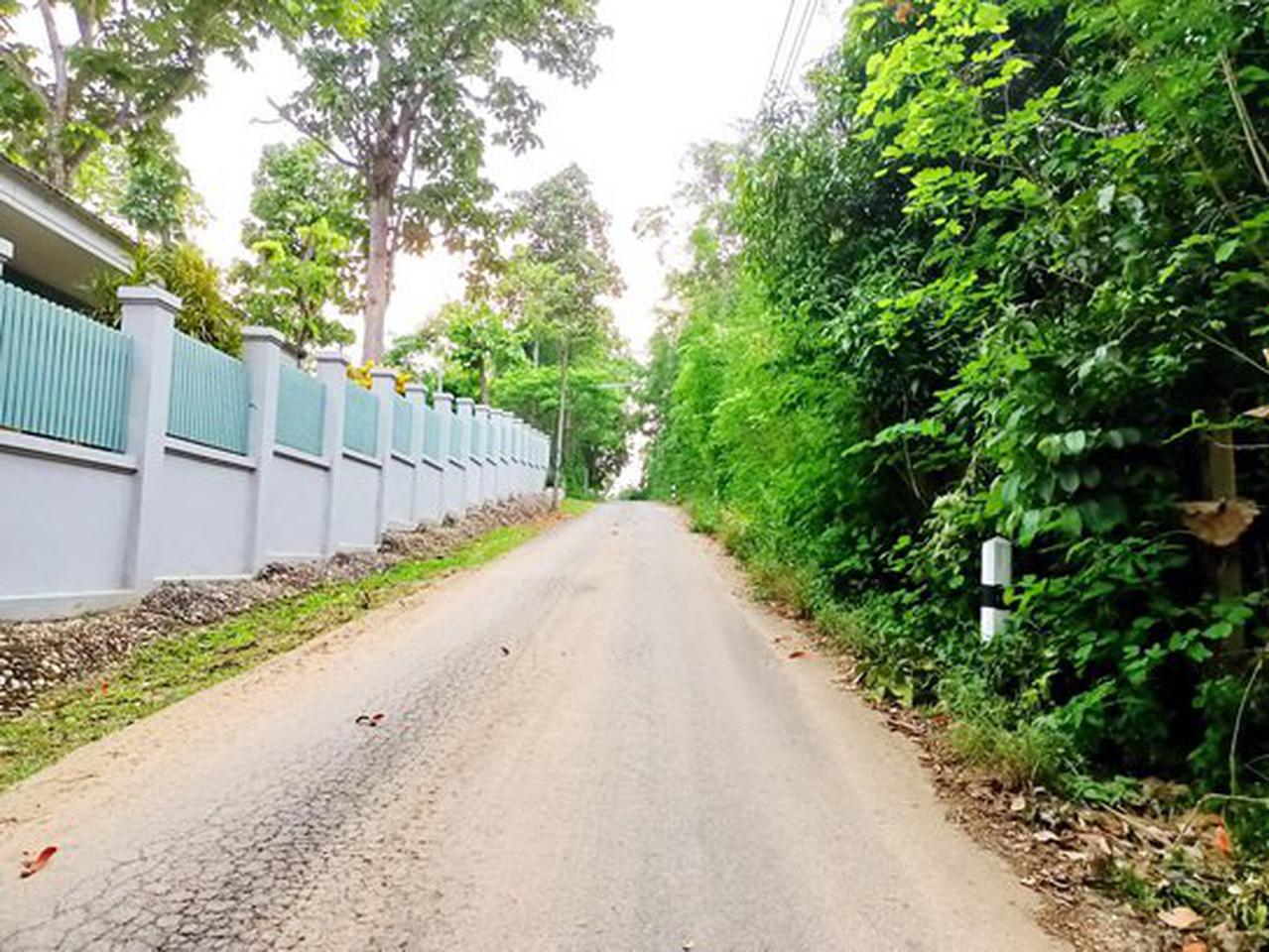 ขายที่ดินที่สวย ต.แม่แรม อ. แม่ริม 4ไร่ 45.7ตรว. Land for Sale, Mae Rim, Chiang Mai 4 Rai 45.7 SqW รูปที่ 4
