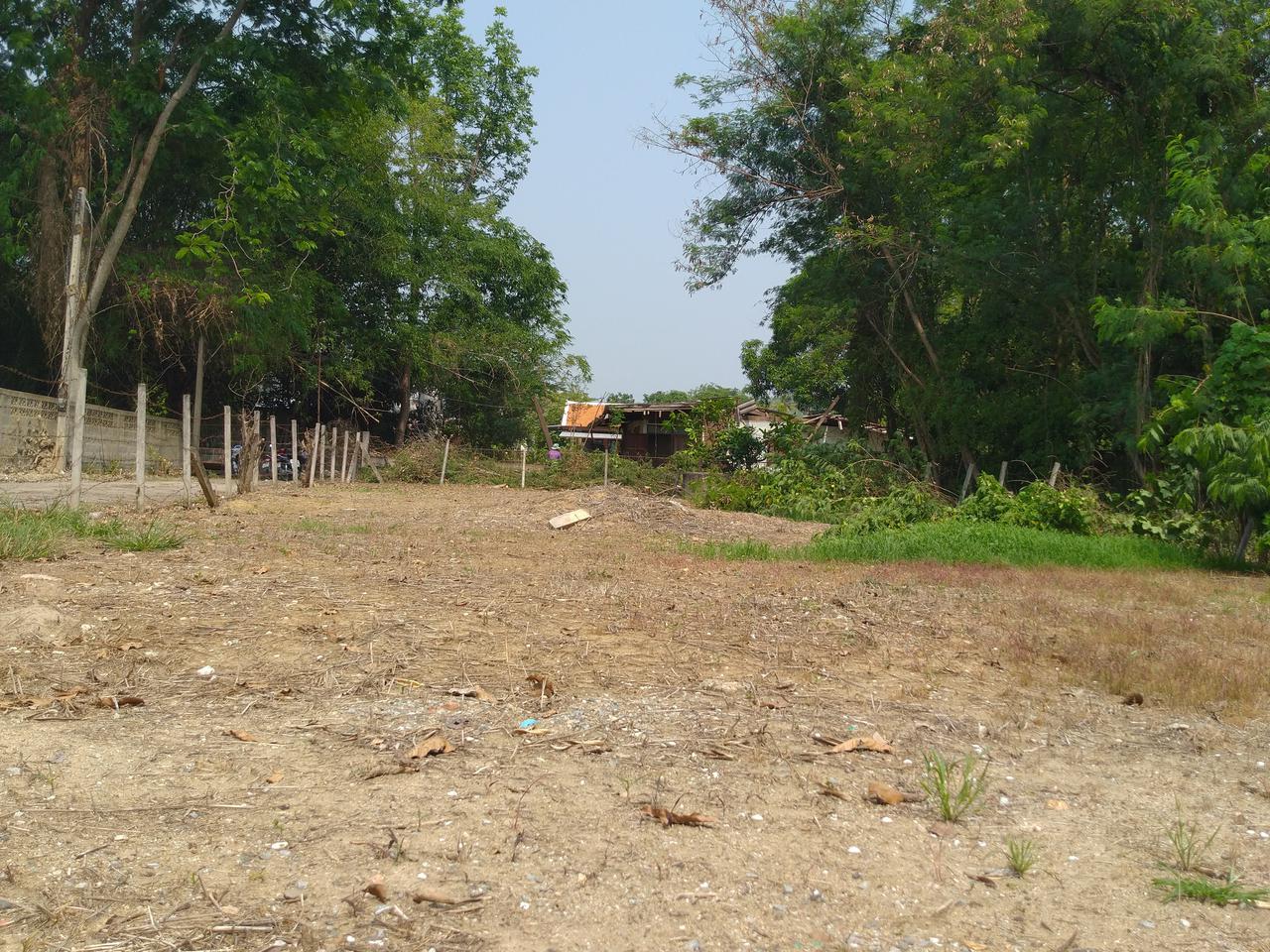 ขายที่ดินถมแล้ว บ้านป่าติ้ว ต.สันโป่ง อ.แม่ริม รูปที่ 4