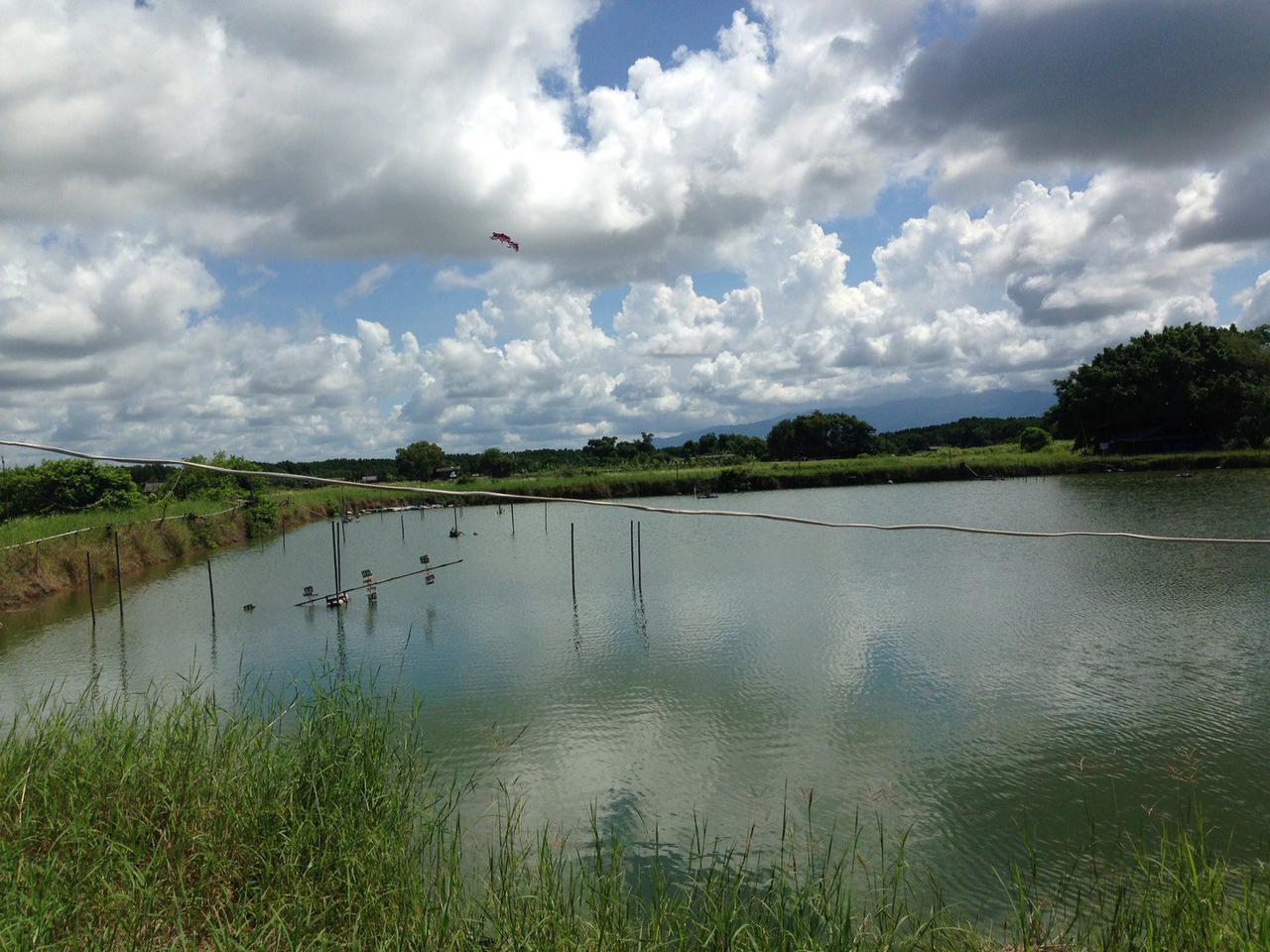 Large Land 43,200 sqm. for Sale Sea View at Chathaburi ENNXO