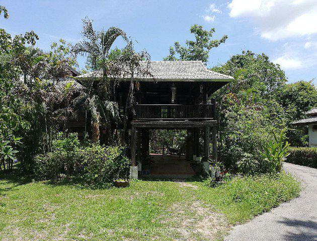 Teak house for rent near ob khan national park hangdong Surrounded by Nature. รูปเล็กที่ 1