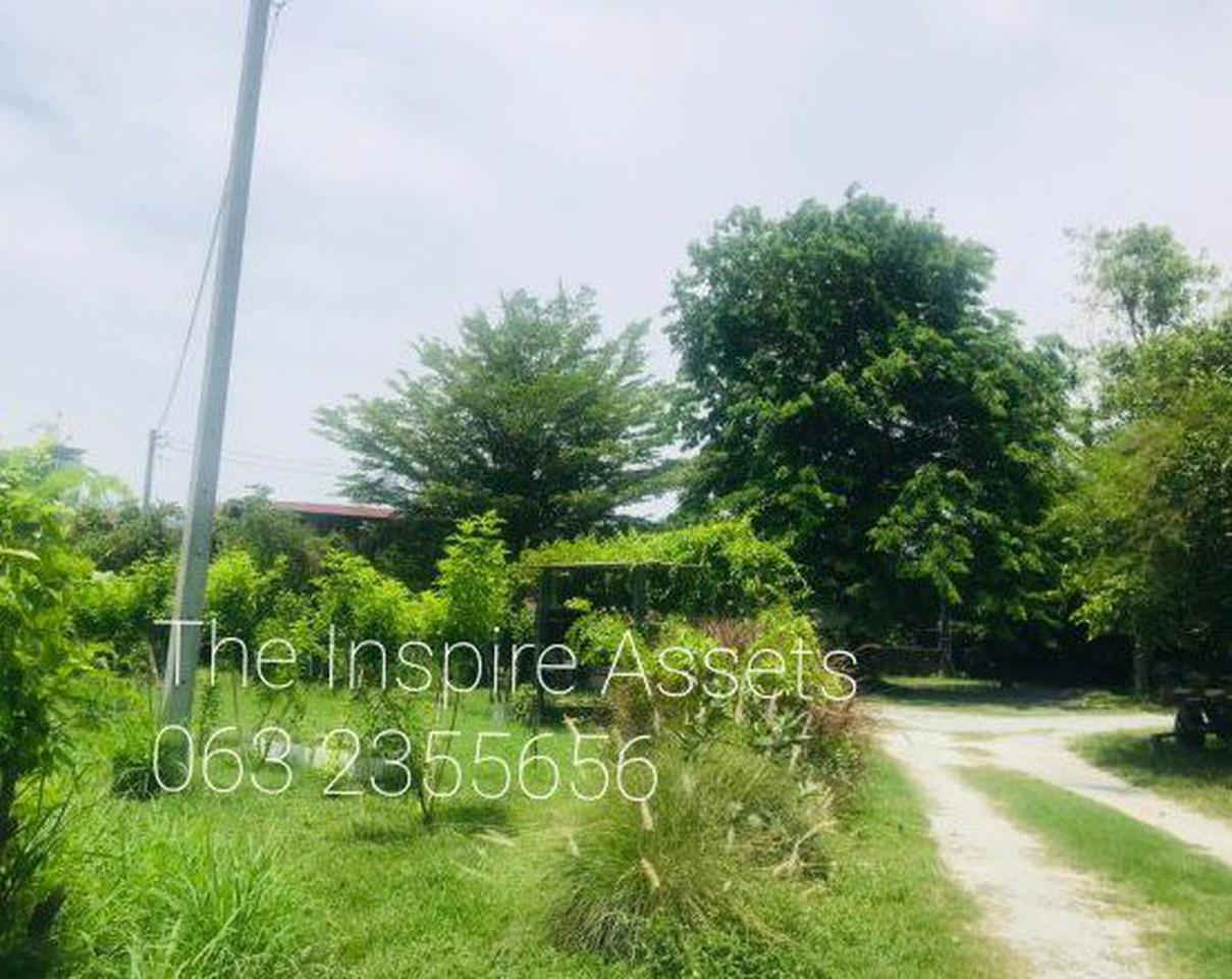 ขายที่ดินสวยมา เป็นบ้านสวน กลางเมืองศรีราชา บรรยากาศดีมาก เนื้อที่ 900 ตรว. รูปที่ 1