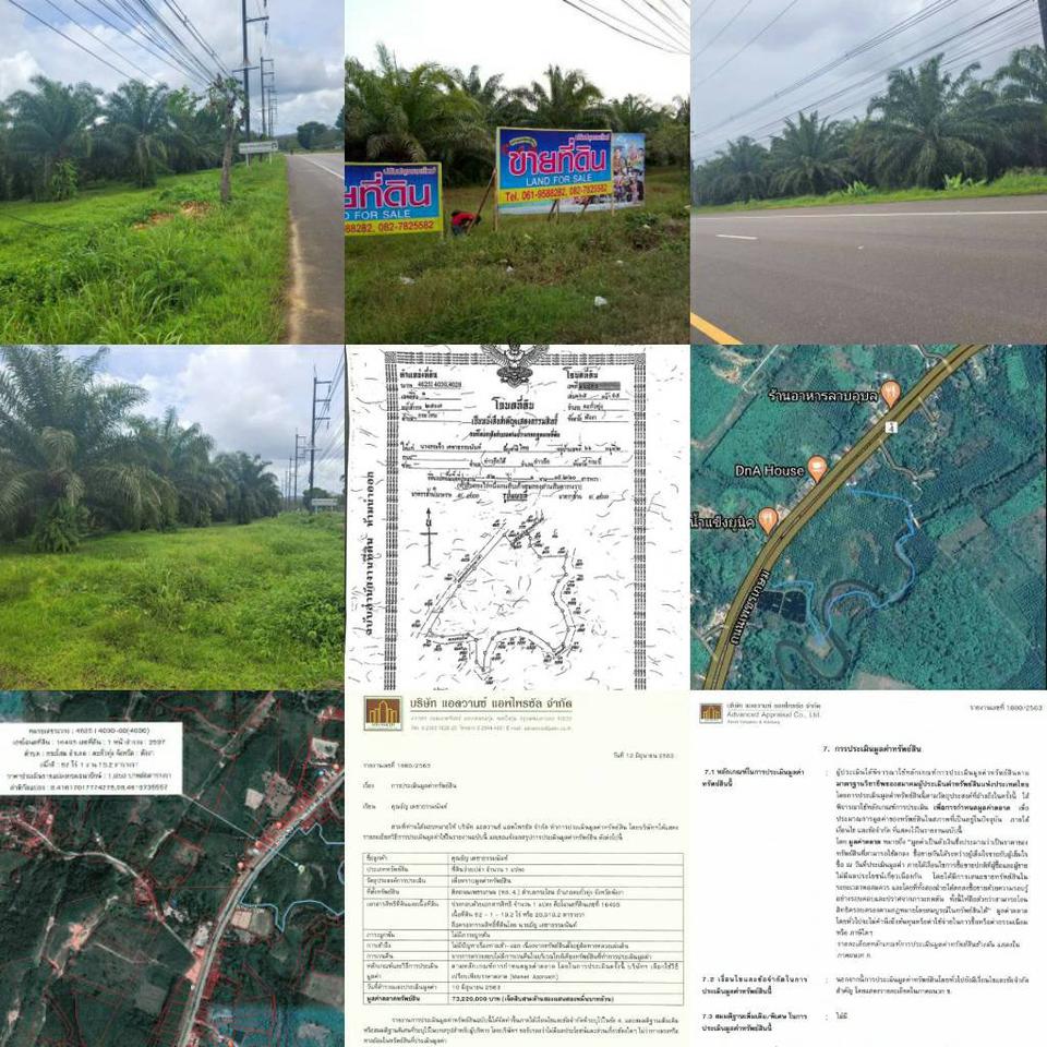ขาย ที่ดิน ที่สวย ทำเลดี ตะกั่วทุ่ง พังงา รูปที่ 6