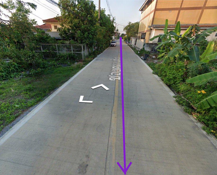 ขายที่ดินคลอง4 คลองหลวงหนองเสือแยก 8 รูปที่ 3