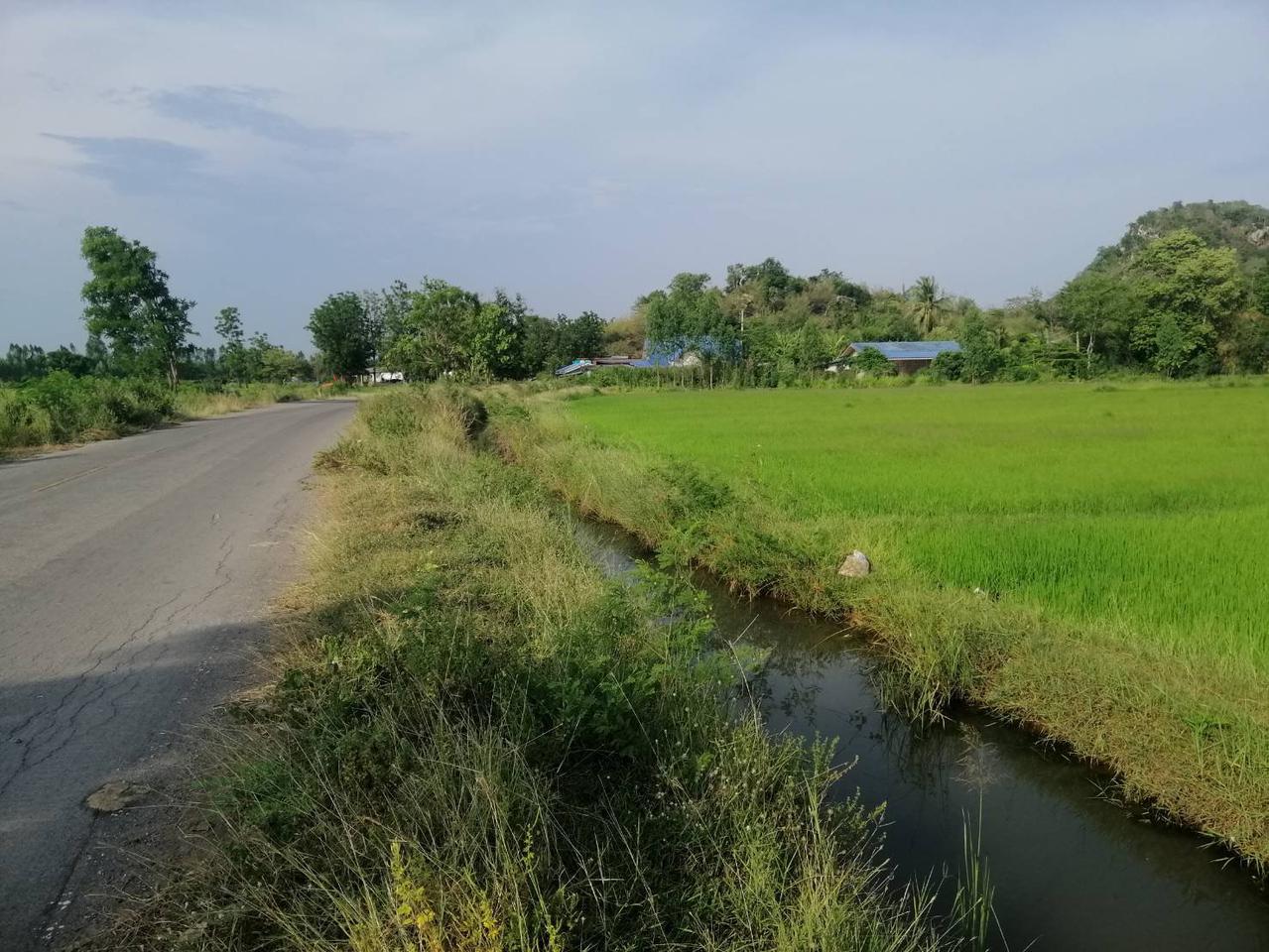ขายที่ดินวิวเขาหน้าถนนคลองล้อม เหมาะสำหรับทำเกษตร เขาสามสิบหาบ ท่ามะกา กาญจนบุรี รูปที่ 5