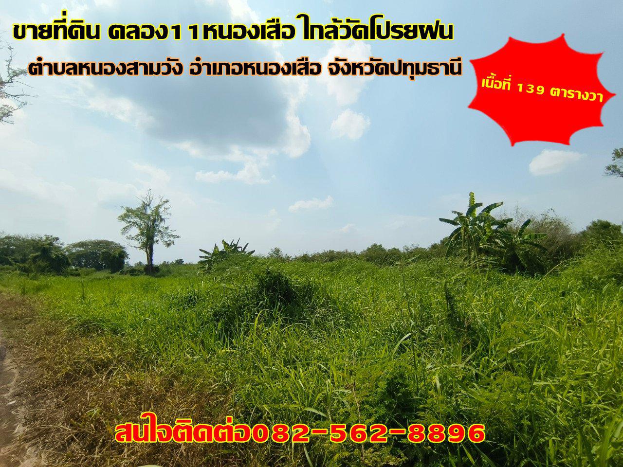 ขายที่ดินคลอง11หนองเสือ ใกล้วัดโปรยฝน อำเภอหนองเสือ จังหวัดปทุมธานี รูปที่ 1