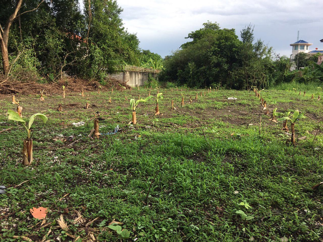 Land for sale  very beautiful plot, suitable for building a house in the zone Single House Project