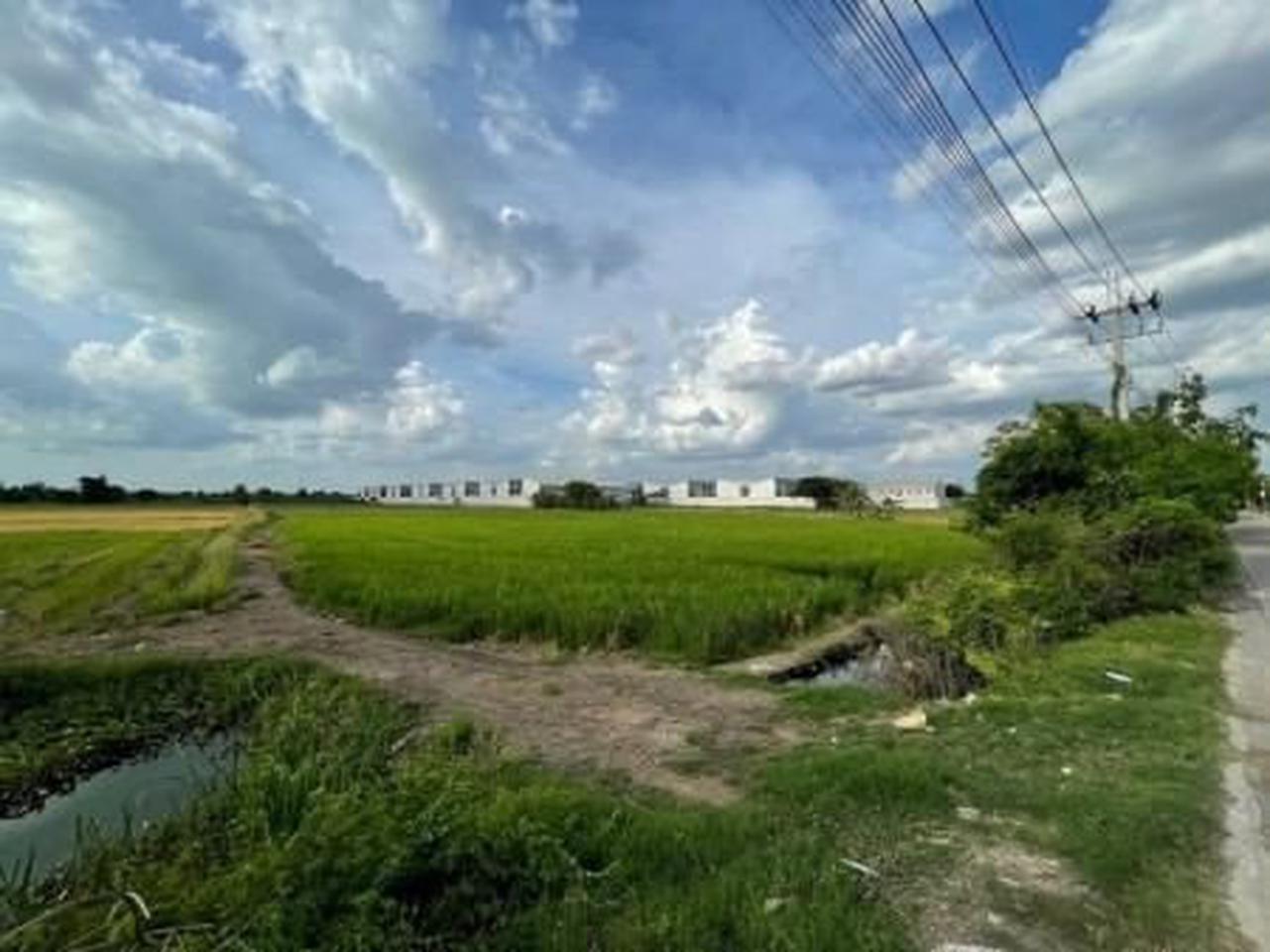 ขายด่วน : ที่ดิน ติดถนน ตรงข้าม เพอร์เฟ็ค พาร์ค บางใหญ่ นนทบุรี รูปที่ 2