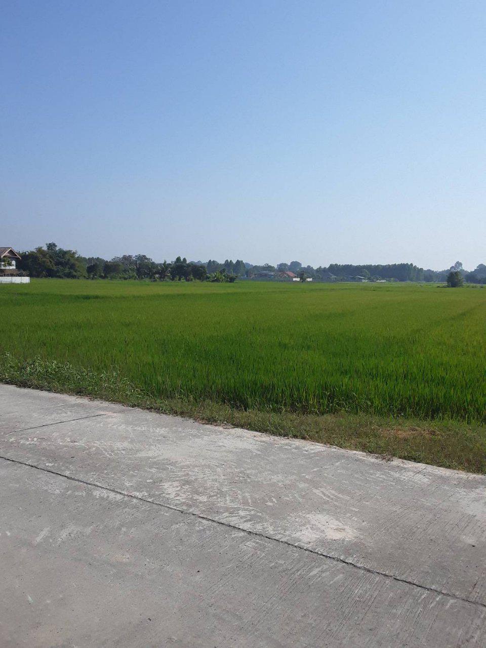 ที่ดิน จ.นครนายก