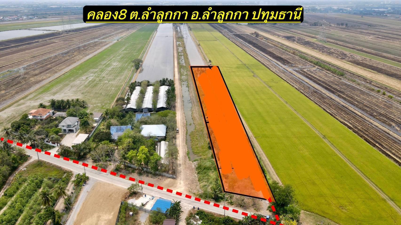ขายที่ดิน คลอง 8 ลำลูกกา 4 ไร่ ที่สวย ทำเลดี อนาคตไกล