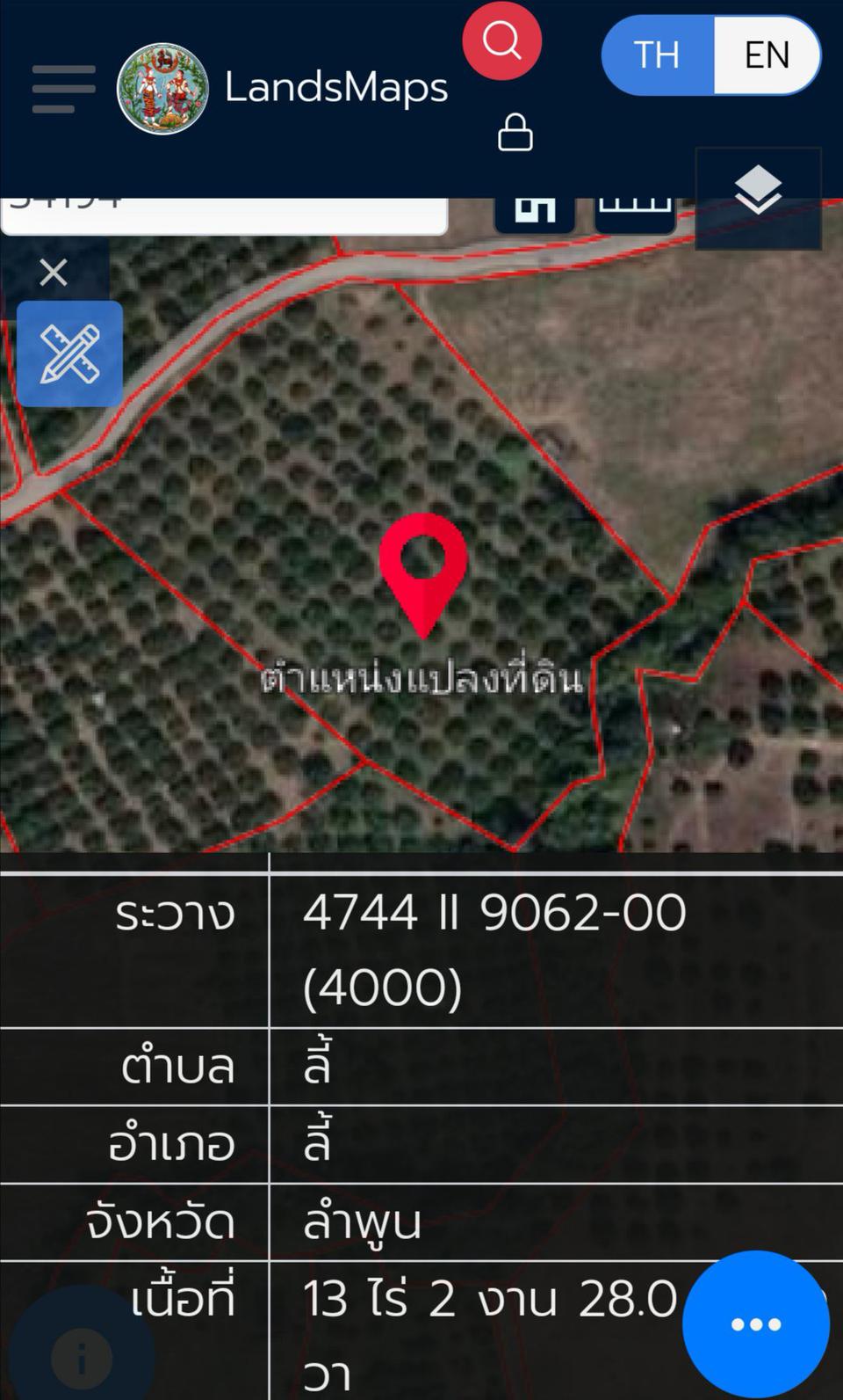 ขายที่สวนลำใย​ 14​ ไร่​ 230ต้น รูปที่ 1