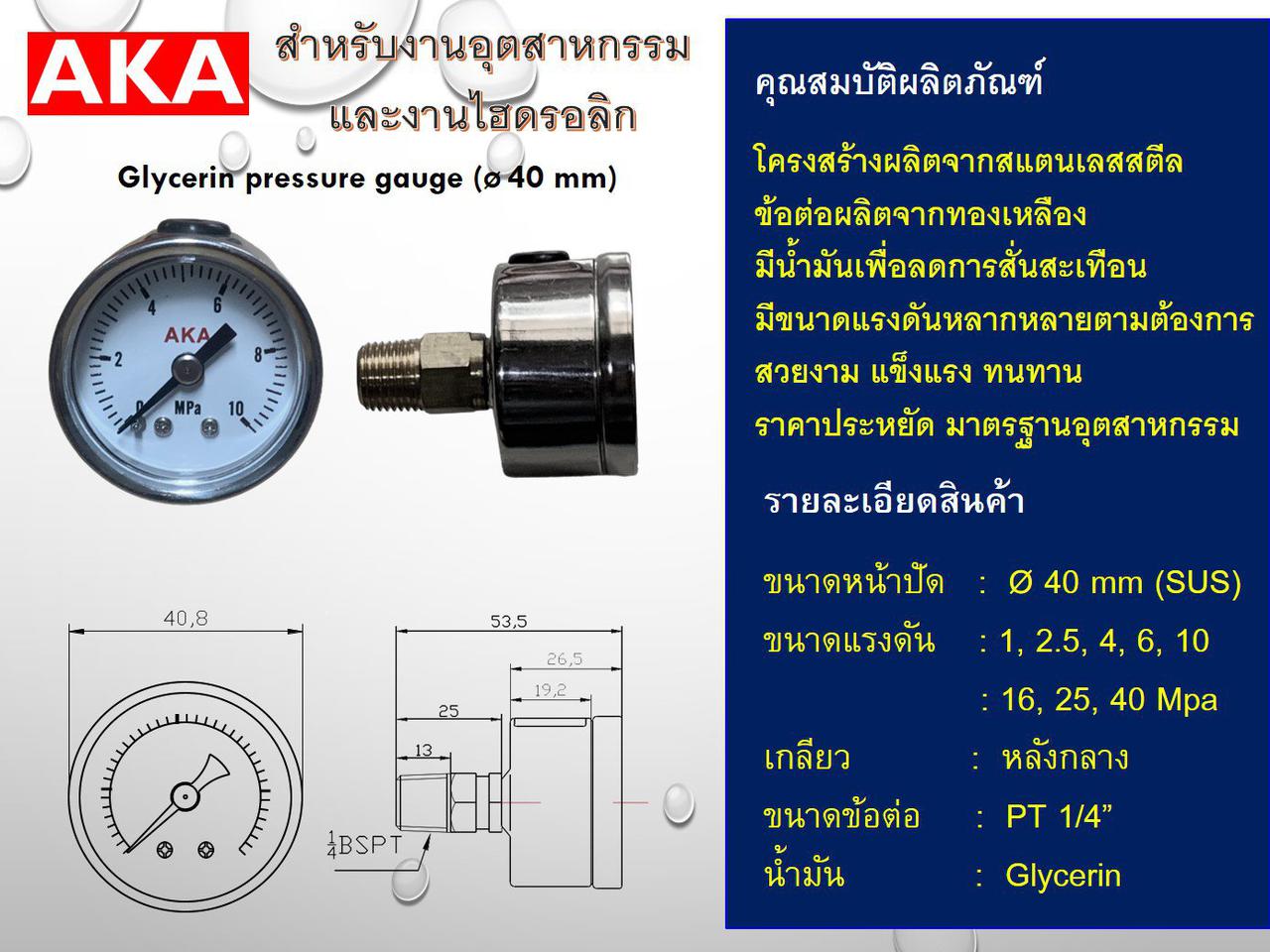 PRESSURE GAUGE AKA รูปที่ 1