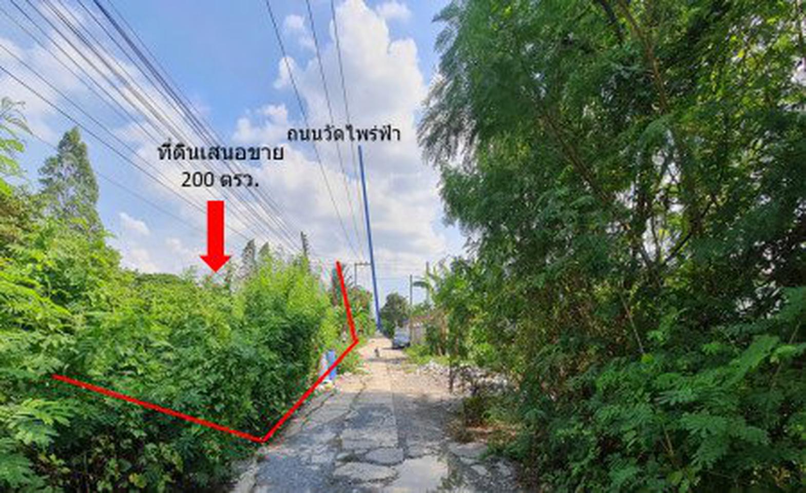 ขาย ที่ดิน ถ.วัดไพร่ฟ้า เทศบาลตำบลบางเดื่อ อ.เมือง ปทุมธานี ซอยธาราทอง 2 งาน ราคาถูกที่สุดในทำเลนี้ ผังเมืองสีชมพูประเภท รูปที่ 2