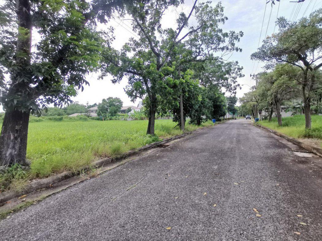 ขาย ที่ดิน ในสนามกอล์ฟ เลควูด Lakewood 400 ตร.วา แปลงสวยสี่เหลี่ยม อยู่ในโครงการหรูมีระดับ เป็นส่วนตัว เหมาะสร้างบ้าน รูปที่ 1