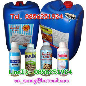 สารเคมีกำจัดปลวก,น้ำยากำจัดปลวก,ยาปราบปลวก,ยาฆ่าปลวก,น้ำยาปล รูปที่ 1