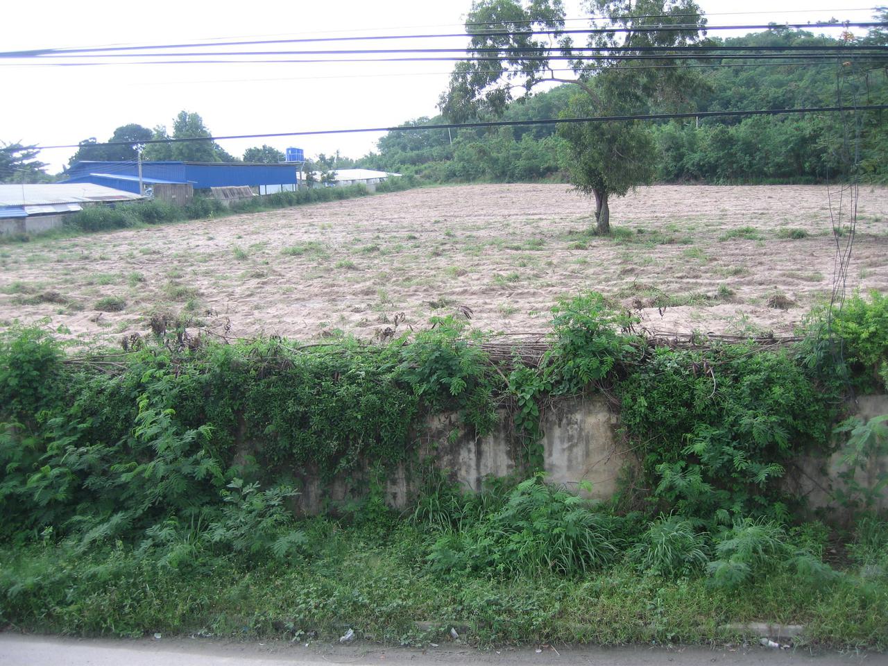 ขายที่ดิน 6-0-89 ไร่ ใกล้สนามบินอู่ตะเภา ระยอง–พัทยา ใกล้ Motorway สายพัทยา-มาบตาพุด