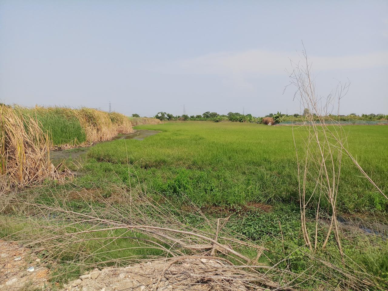 ขายที่ดิน 1 ไร่ ย่านลาดกระบัง กทม.