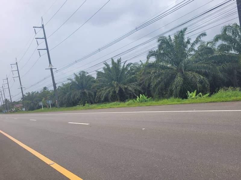 ขาย ที่ดิน ที่สวย ทำเลดี ตะกั่วทุ่ง พังงา รูปที่ 3