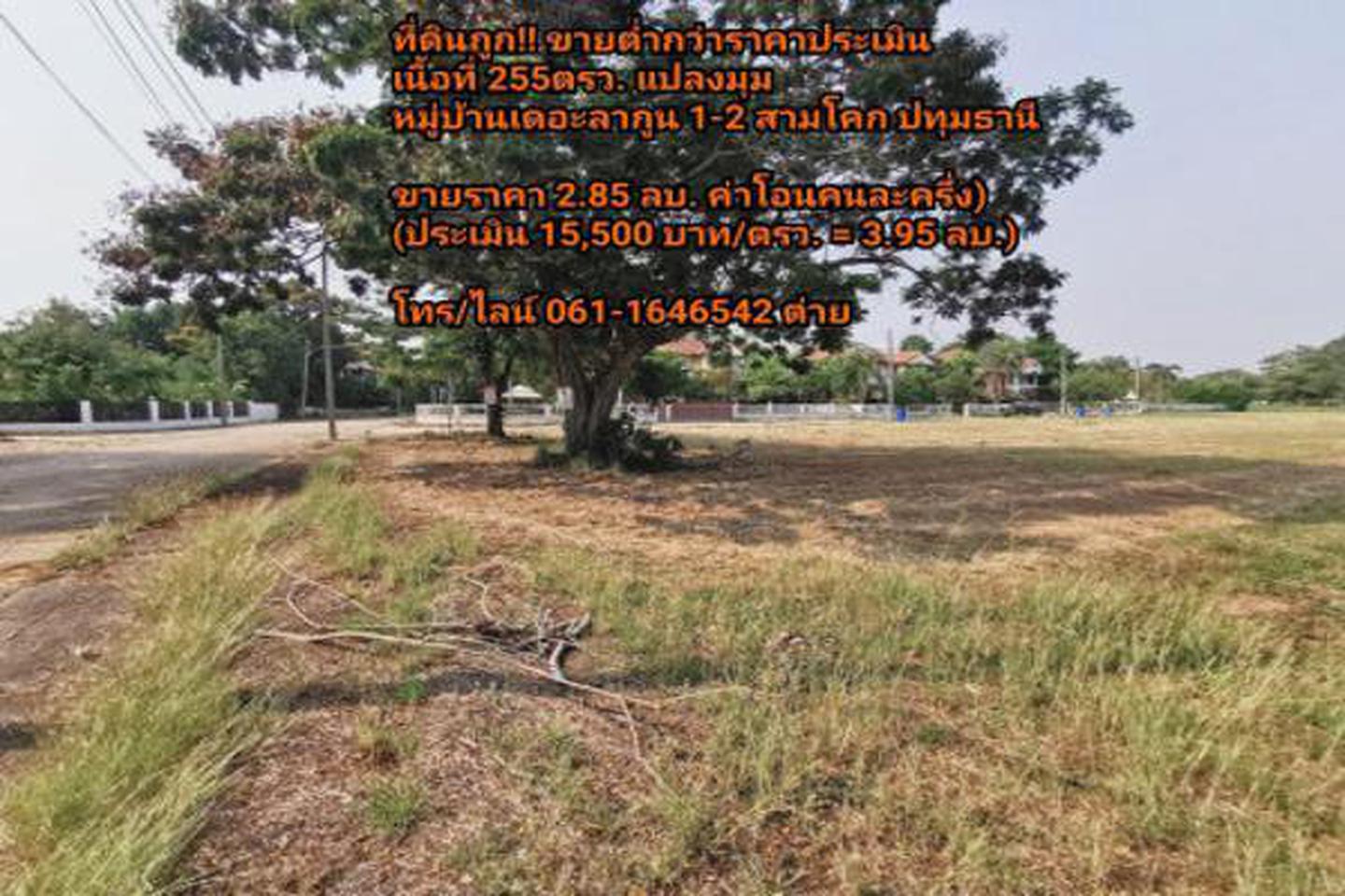 ขายที่ดิน ต่ำกว่าราคาประเมิน 255 ตรว. สามโคก ปทุมธานี หมู่บ้านเดอะลากูน 1-2 รูปที่ 5