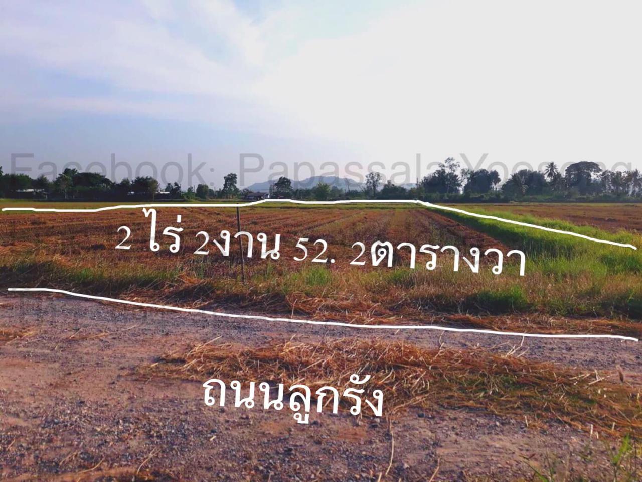 เจ้าของขายเอง 2ไร่ 2งาน 52.2ตารางวา ราคา1,300,000 รูปที่ 1